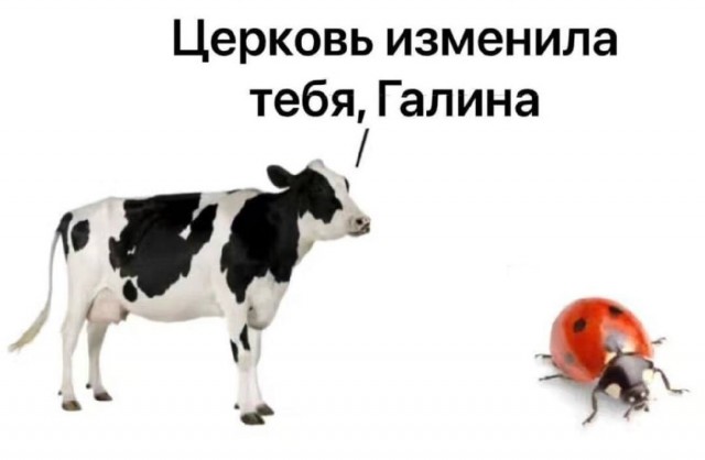 «Твою мать! Смотрите: живые и мёртвые. Могу выслать, соберём коробку за свой счёт»