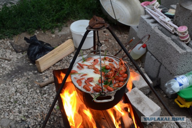 Креветки, цена и качество.