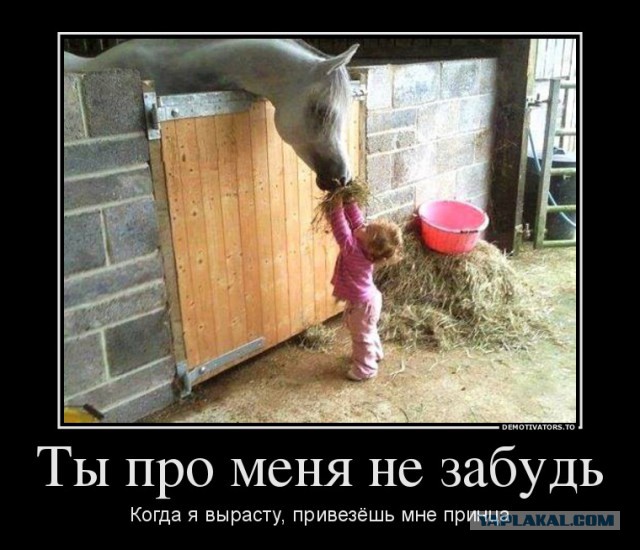 Ирина. 27 лет. Секса нет 5 лет.