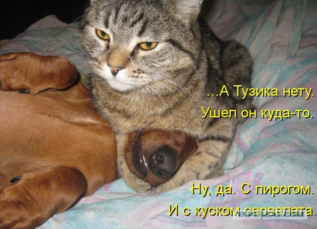 Капля позитива