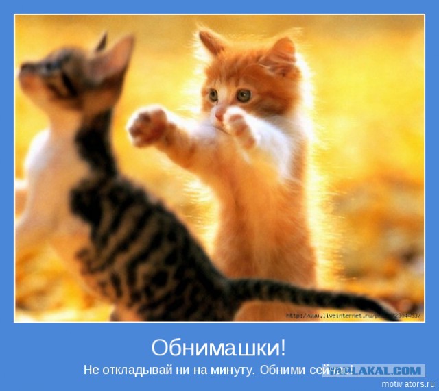 Чёрт, чёрт, чёрт!