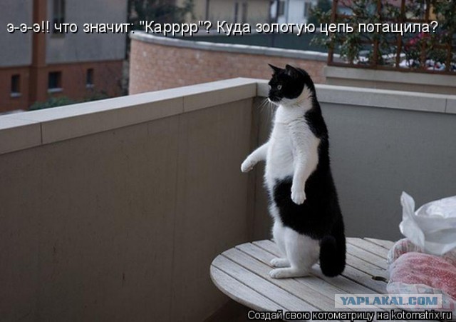 Весёлые картинки