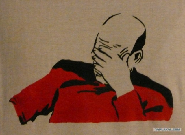 Даже кошки не могут это терпеть