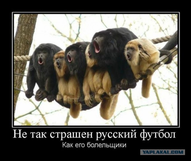 Весёлое из сети