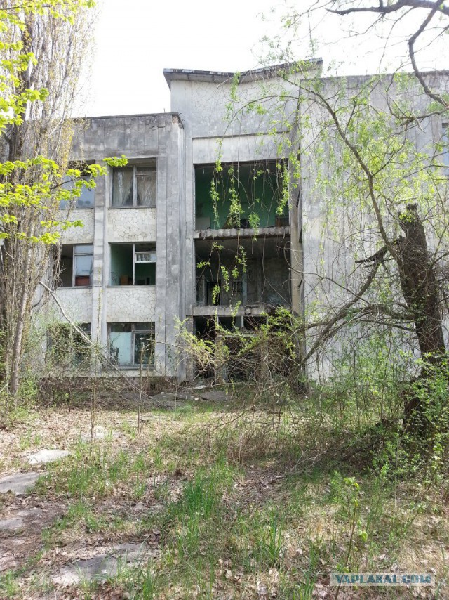 Поездка в Зону Отчуждения