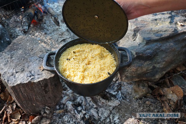 Готовим на костре или лесная кулинария