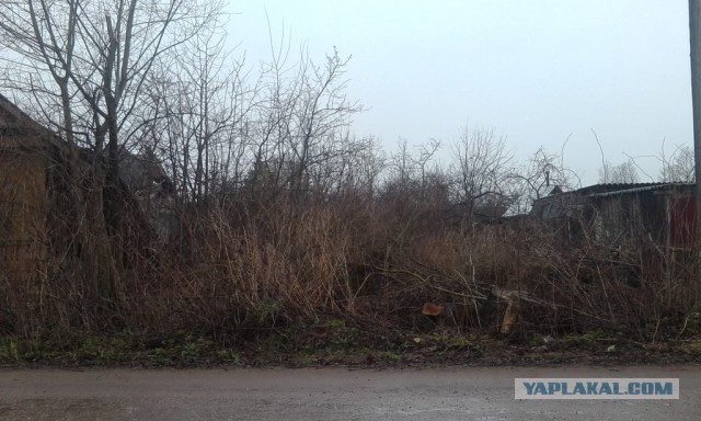 Прикупил  участок
