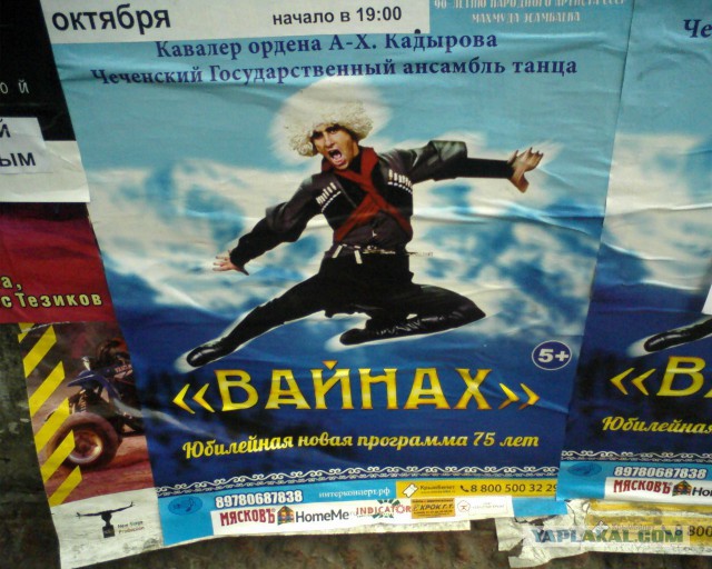 Веселые картинки