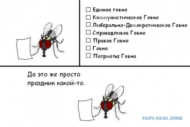 Подборка прикольных картинок