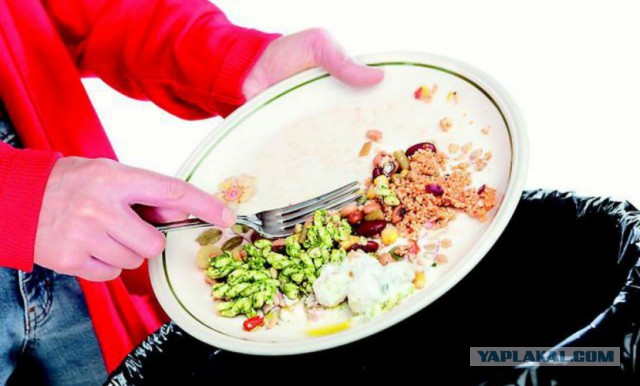 Воспитательница наказала детей «за неуважение к еде» мясом с помойки