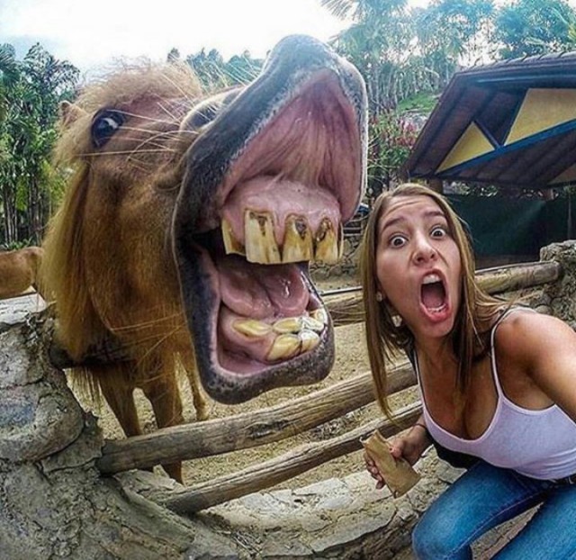 Ужасы и приколы из соцсетей 18+