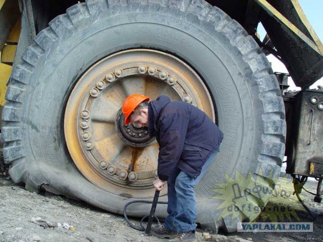 Пукать вагиной - это норма!©