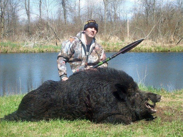 С копьём на кабана