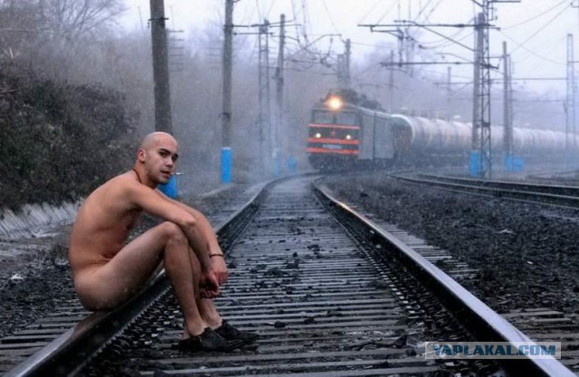 Яжемать на собачьей выставке