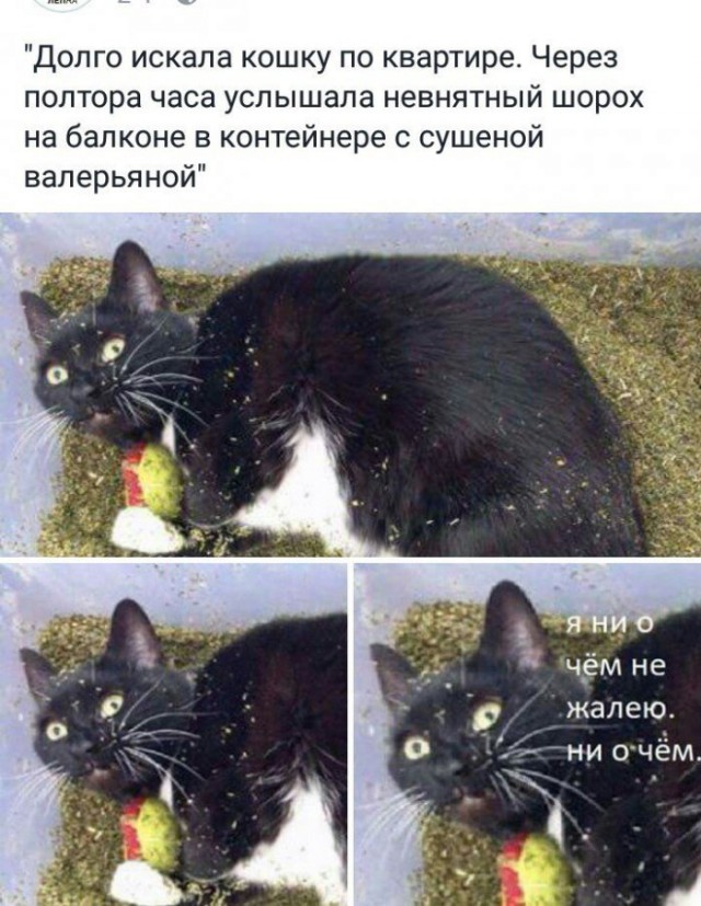 Ерундушки на четверг.
