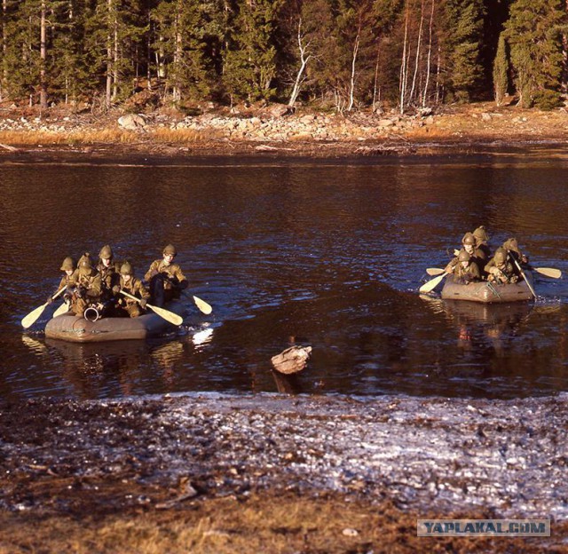 Шведская армия времен холодной войны