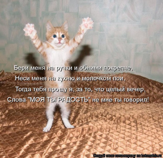 Итоги проверки пользователей