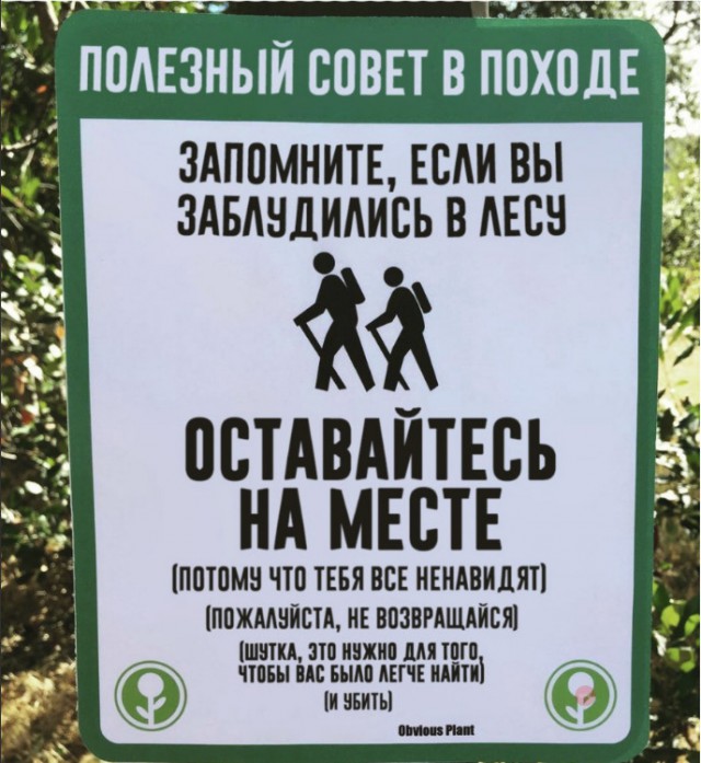 Прикольные надписи и объявления