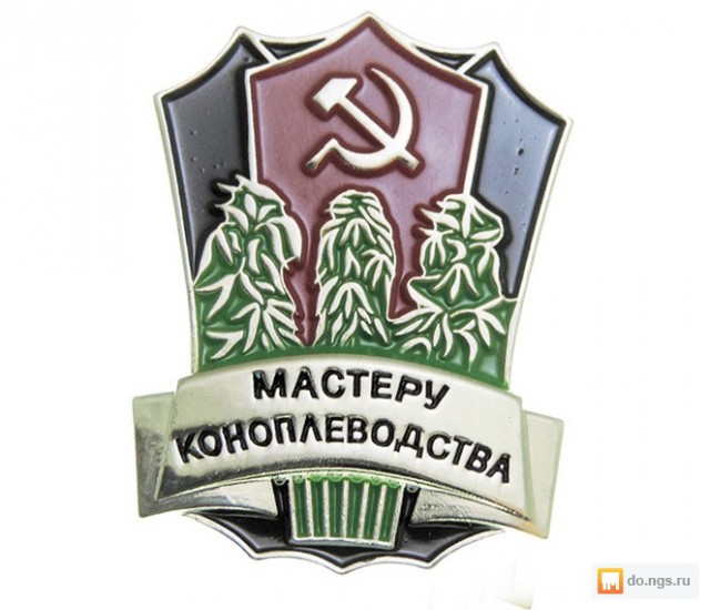 За мак на огороде осудили пермского ветерана труда
