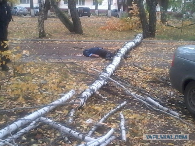 В Нижнекамске дерево убило мужчину.