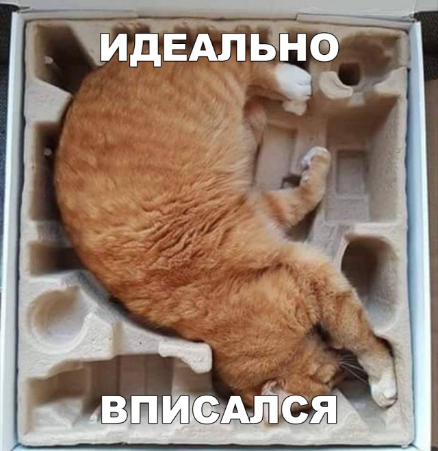 Немного милоты