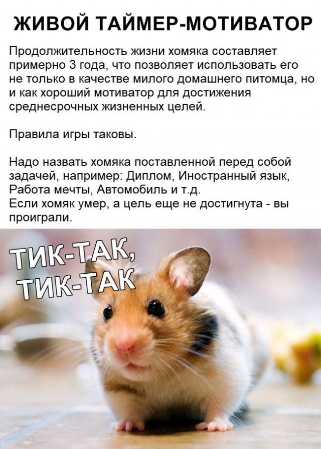Немного картинок с надписями и без - 7