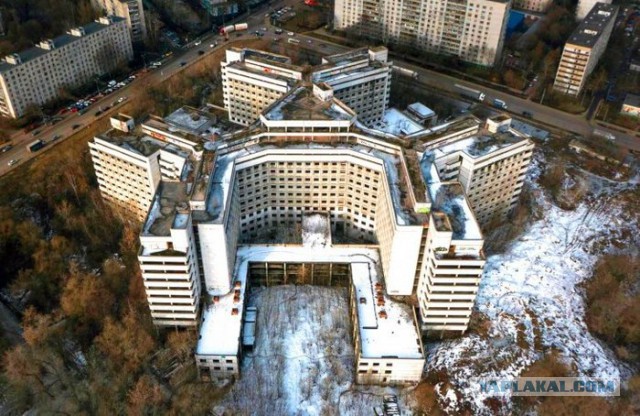 Печальный диплодок  арматурку жуёт