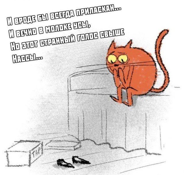 Йумор, плоский, как Земля
