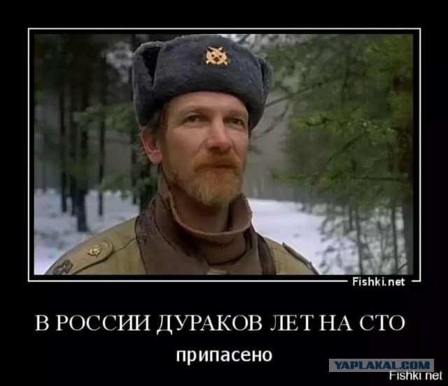 Скотсети и прочие интернеты 17.06.2020