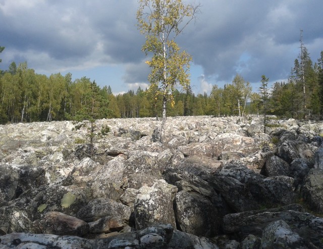 Где-то на Урале лес заменяет людям небо
