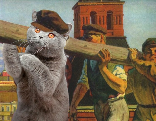 Чесна, чесна, хозяин, это не я ...