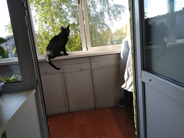 Моя красотка