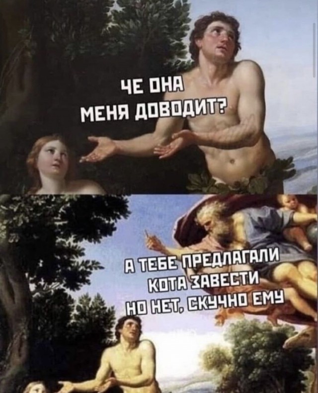 Юмор и прикольные картинки
