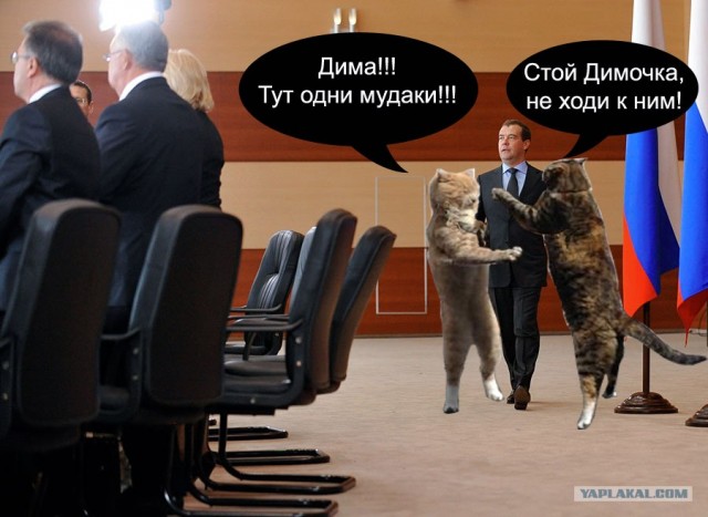 Фотожаба: Ракурс