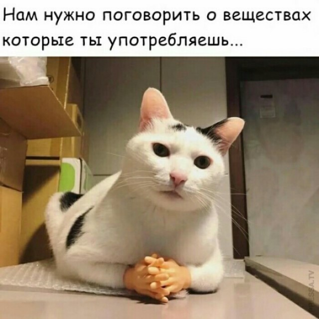 Финал бесподобен
