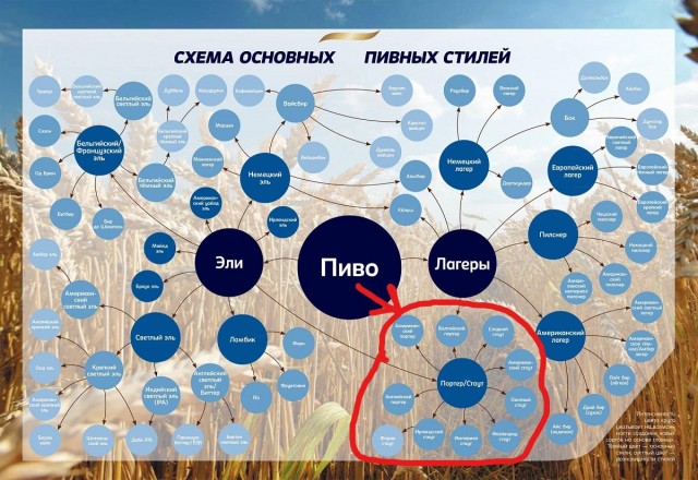 Жизнь и пивоварение