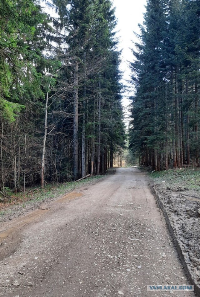 В Сербию на майские. Сложное, но увлекательное путешествие в пандемию