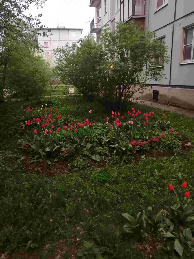 Мой ответ клятым империалистам