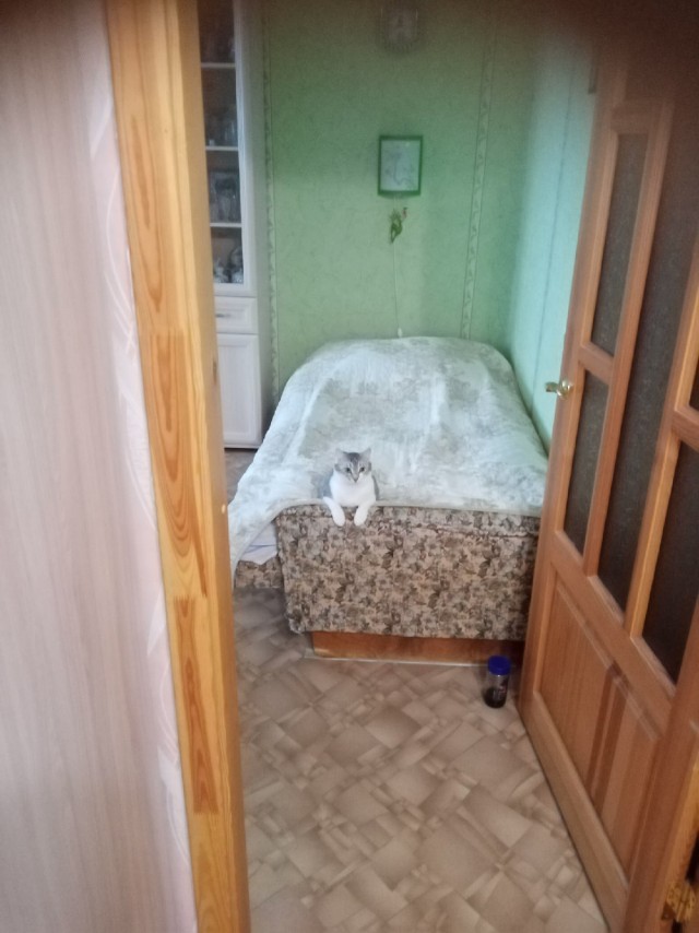 Подборка всякой живности