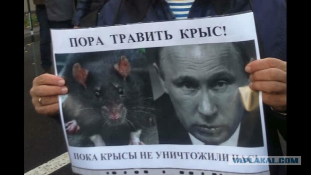 Путин наградил орденами Мужества сочинских судебных приставов, которых убил пенсионер