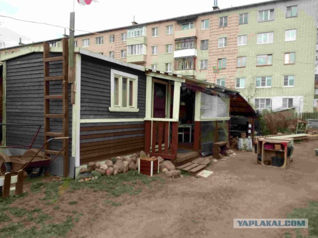 Из окна моего дома