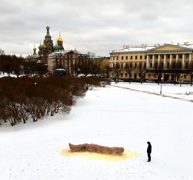 Арт-объект в виде пятиметровой фекалии появился на Марсовом поле в Петербурге