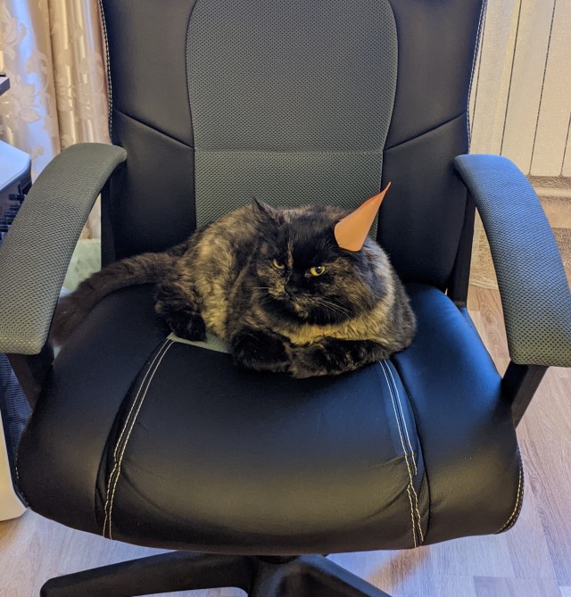 Что-то котовторник никто не начинает...