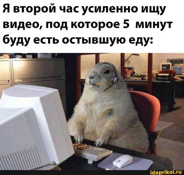 Весёлый полтишок 20.04.22