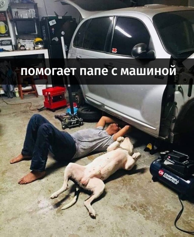 Так себе картинки 17.05.22