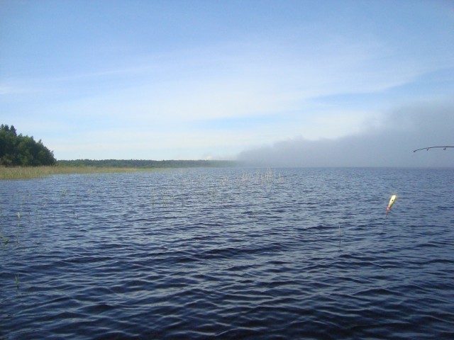 Открытая вода