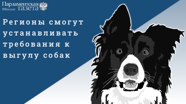 Пандемия съехавших крыш - разновидности болезни. Россия и мир. Часть 37