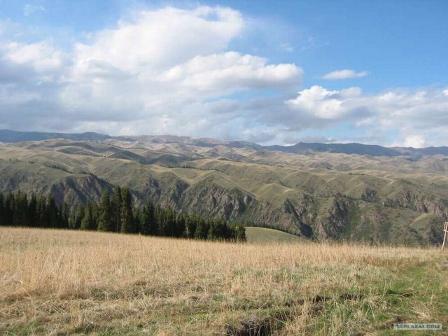 Рыбалка в горах. Плато Ассы.