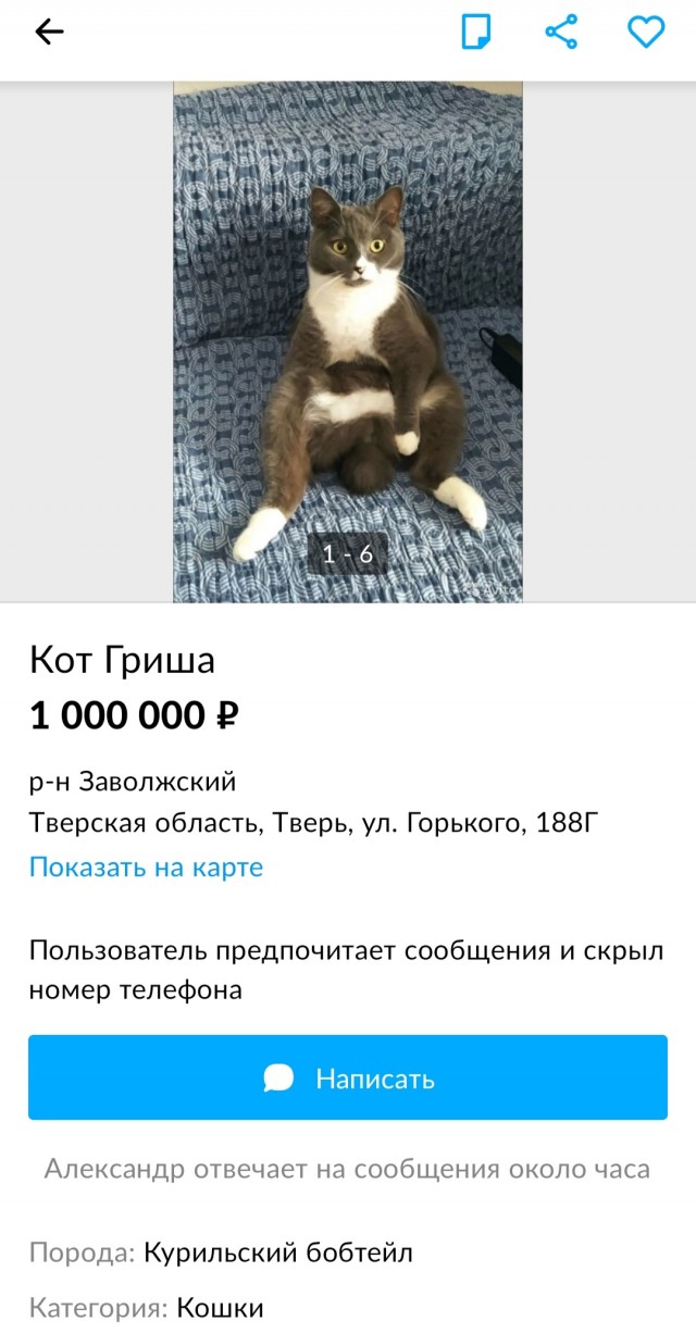 10+ объявлений с известного ресурса, которые опубликовали люди с отличным чувством юмора