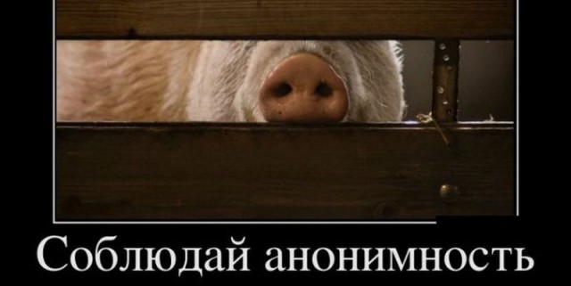 Как живет Харьков сейчас